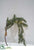 Silk Plants Direct Snowed Pine Spray - Green Snow - Pack of 12