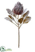 Silk Plants Direct Snowed Protea Spray - Coffee Snow - Pack of 12