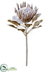Silk Plants Direct Snowed Protea Spray - Coffee Snow - Pack of 6