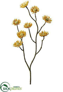 Mini Daisy Spray - Butter Scotch - Pack of 24