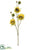 Sunflower Spray - Butter Scotch - Pack of 12