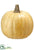 Pumpkin Butterscotch - Butter Scotch - Pack of 4
