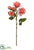 Rose Spray - Coral - Pack of 24