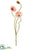 Poppy Spray - Coral - Pack of 12