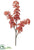 Plastic Berry Spray - Coral - Pack of 12