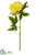 Peony Spray - Yellow Coral - Pack of 12