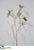 Silk Plants Direct Spider Orchid Branch - Gold - Pack of 6