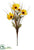 Rudbeckia, Grass Spray - Yellow Gold - Pack of 12