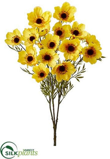 Bush - Yellow Gold - Pack of 12
