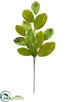 Silk Plants Direct Sparkle Magnolia Leaf Spray - Green Gold - Pack of 12
