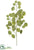 Metallic Eucalyptus Leaf Spray - Green Gold - Pack of 24