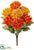 Mum Bush - Orange Gold - Pack of 6