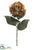 Hydrangea Spray - Rust Gold - Pack of 6