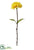 Carnation Spray - Honey - Pack of 12