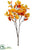 Eucalyptus Leaf Spray - Orange Honey - Pack of 12