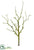 Silk Plants Direct Moss Tree Branch - Moss - Pack of 12