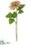 Dahlia Spray - Rose - Pack of 12