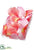 Rose Petal - Rose - Pack of 12