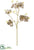 Metallic Dogwood Spray - Gold Rose - Pack of 12