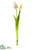 Tulip Bud Bundle - Pink Soft - Pack of 12