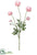 Ranunculus Spray - Pink Soft - Pack of 6