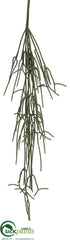Silk Plants Direct Hanging Pencil Cactus Spray - Green - Pack of 12