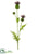 Thistle Spray - Eggplant - Pack of 12