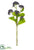 Plastic Berry Spray - Eggplant - Pack of 12