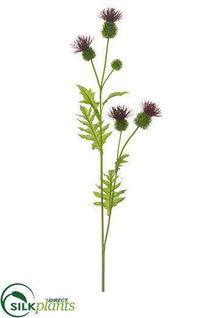 Thistle Spray - Eggplant - Pack of 12