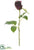 Rose Bud Spray - Eggplant - Pack of 12