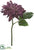 Dahlia Spray - Eggplant - Pack of 12