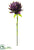 Giant Protea Spray - Eggplant - Pack of 12