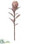 Protea Spray - Brown - Pack of 12