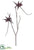 Silk Plants Direct Spider Orchid Branch - Brown - Pack of 6