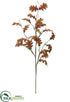 Silk Plants Direct Oak Leaf Spray - Brown - Pack of 12