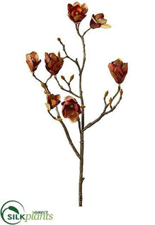 Magnolia Spray - Brown - Pack of 12