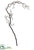 Curly Willow Branch - Brown - Pack of 12