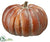 Pumpkin - Brown - Pack of 6