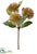 Allium Bud Spray - Brown - Pack of 12