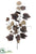 Maple Leaf Spray - Brown - Pack of 6