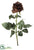 Confetti Rose Spray - Brown - Pack of 6
