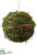 Twig Ball Ornament With Moss - Brown - Pack of 8