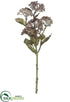Silk Plants Direct Sedum Spray - Brown - Pack of 12