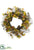 Eucalyptus, Pine Cone Wreath - Fall Brown - Pack of 1