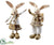 Bunny - Beige Brown - Pack of 2