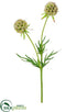 Silk Plants Direct Scabiosa Spray - Beige Brown - Pack of 12