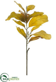 Magnolia Leaf Spray - Beige Brown - Pack of 12