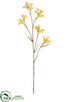 Silk Plants Direct Kangaroo Paw Spray - Yellow Brown - Pack of 12