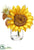 Sunflower, Eucalyptus - Yellow Brown - Pack of 12