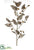 Magnolia Leaf Spray - Silver Brown - Pack of 4